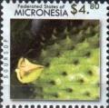 Colnect-5782-039-Soursop.jpg