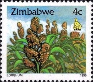 Colnect-4609-036-Sorghum.jpg