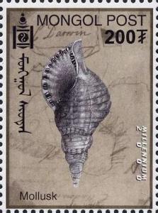 Colnect-1292-049-Mollusk.jpg