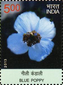 Colnect-6204-104-Blue-Poppy.jpg