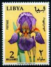 Colnect-1279-052-Iris-sp.jpg