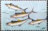 Colnect-5880-066-Mackerel.jpg