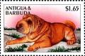 Colnect-4127-062-Sharpei.jpg