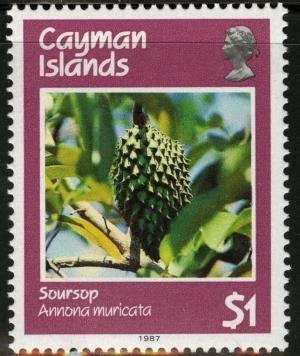 Colnect-1681-066-Soursop.jpg