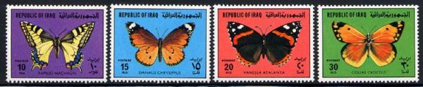 Skap-iraq_06_bflies.jpg