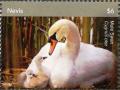 Colnect-5164-907-Mute-swan.jpg