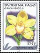 Colnect-3582-807-Cymbidium.jpg