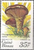 Colnect-1174-808-Mushrooms.jpg