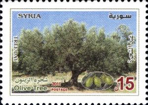 Colnect-1852-009-Olive-Tree.jpg