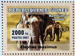 Colnect-5031-809-Elephants.jpg