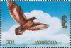 Colnect-1271-330-Brown-raptor.jpg