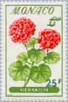 Colnect-147-770-Pelargonium.jpg