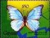 Colnect-4743-750-Morpho-diana.jpg