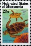 Colnect-5576-510-Green-turtle.jpg