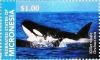 Colnect-5812-440-Killer-whale.jpg