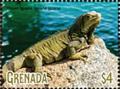 Colnect-5727-080-Green-Iguana.jpg