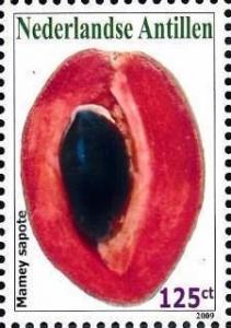 Colnect-4562-240-Mamey-Sapote.jpg