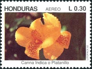 Colnect-4988-150-Canna-indica.jpg