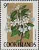 Colnect-1597-620-Stephanotis.jpg