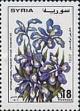 Colnect-2220-580-Iris.jpg