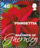 Colnect-4163-110-Poinsettia.jpg