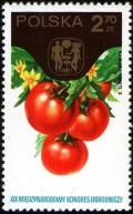 Colnect-3590-117-Tomatoes.jpg