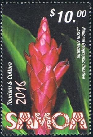 Colnect-4774-211-Bromeliad.jpg