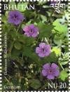 Colnect-2461-131-Geranium.jpg