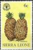 Colnect-2387-813-Pineapples.jpg