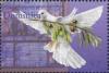 Colnect-3269-014-Peace-dove.jpg