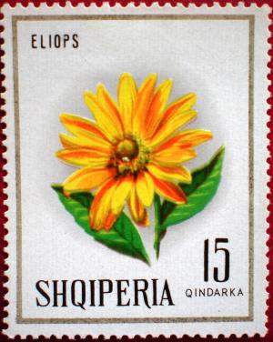 Colnect-1325-314-Heliopsis.jpg