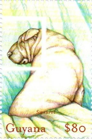 Colnect-4861-146-Shar-Pei.jpg