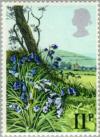 Colnect-122-115-Bluebell.jpg