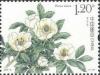 Colnect-5826-155-Peonies.jpg