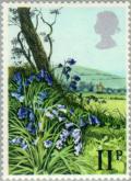 Colnect-122-115-Bluebell.jpg