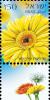 Colnect-2664-158-Gerberas.jpg