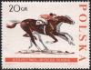 Colnect-4635-416-Horse-race.jpg