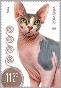 Colnect-6480-918-Sphynx-Cat.jpg