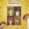 Colnect-3640-219-Mushrooms.jpg