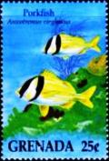 Colnect-4503-190-Porkfish.jpg