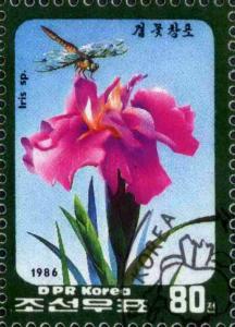 Colnect-4048-199-Iris-sp.jpg