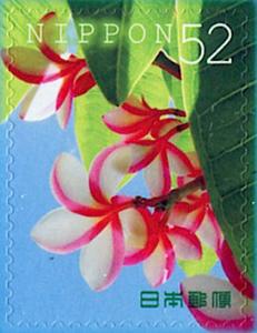 Colnect-5497-197-Plumeria.jpg