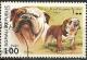 Colnect-1272-196-Bulldog.jpg