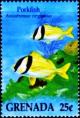 Colnect-4503-190-Porkfish.jpg