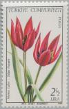 Colnect-2588-071-Manisa-Tulip.jpg