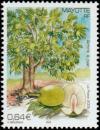 Colnect-851-171-Breadfruit.jpg