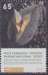 Colnect-5093-771-Pico-Turquin.jpg