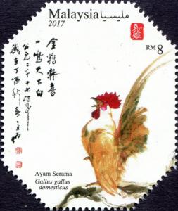 Colnect-4339-981-Ayam-Serama.jpg