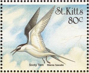 Colnect-1659-361-Sooty-Tern%C2%A0.jpg