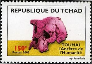 Colnect-2395-371-Toumai-skull.jpg